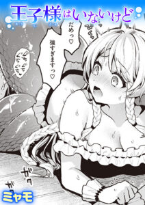王子様はいないけど