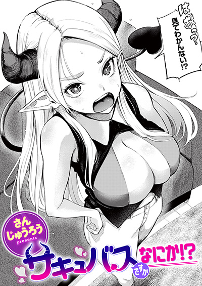 サキュバスですがなにか!? 表紙