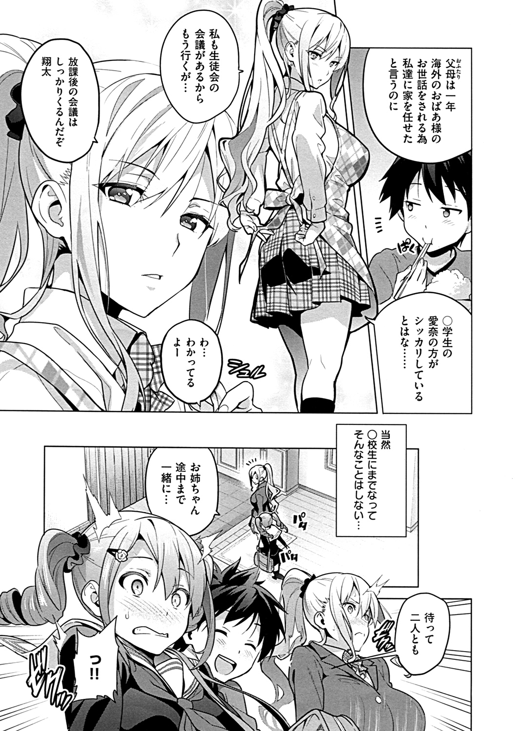 シスターブリーダー 試し読み